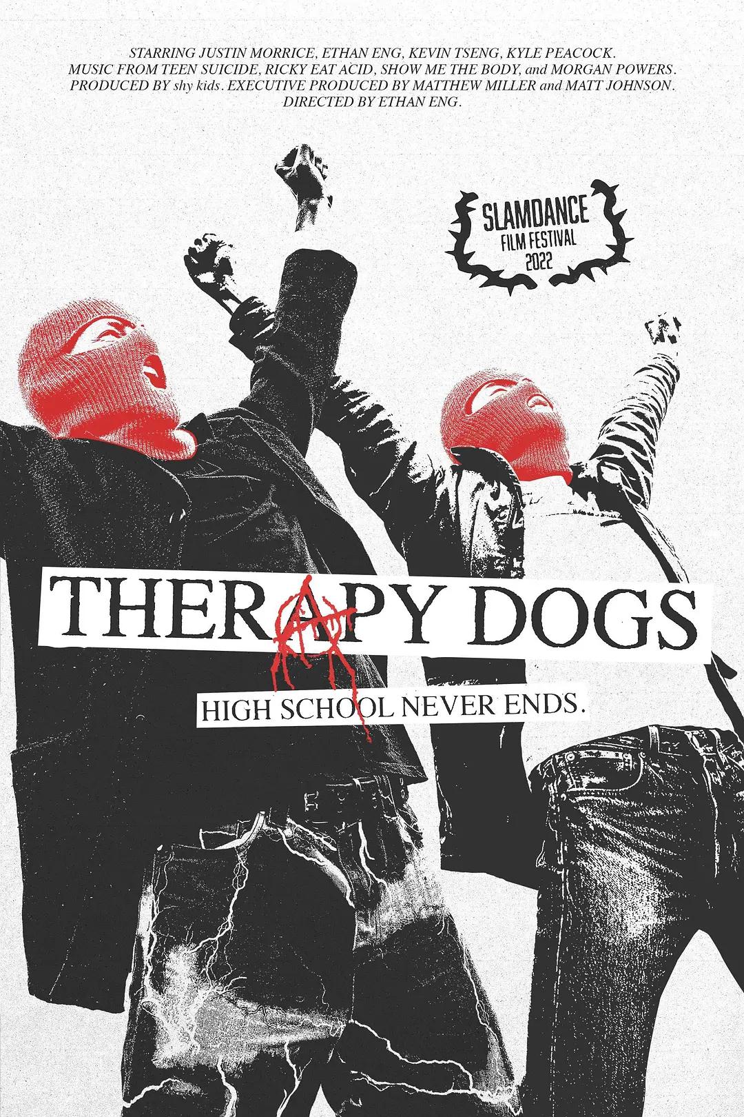 治疗犬海报