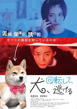狗转了一圈 逃跑了海报