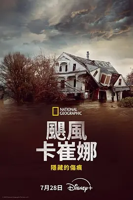 飓风卡特里娜：隐藏的伤痕海报