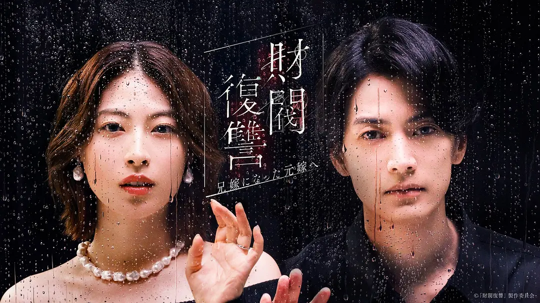 财阀复仇：致成为嫂子的前妻海报
